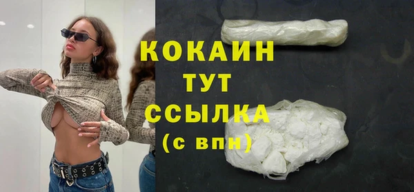 прущие грибы Аркадак