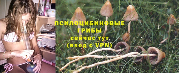 марки lsd Балабаново
