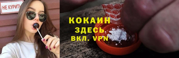 прущие грибы Арсеньев