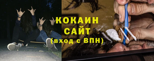 прущие грибы Арсеньев