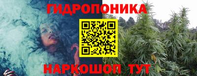 шишки Кингисепп
