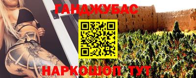 шишки Кингисепп