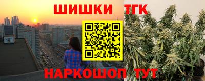 шишки Кингисепп